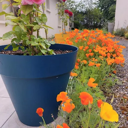 Gasthuis Lagalerne 3*