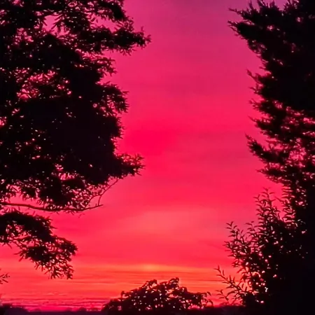 Lagalerne Gasthuis 3*