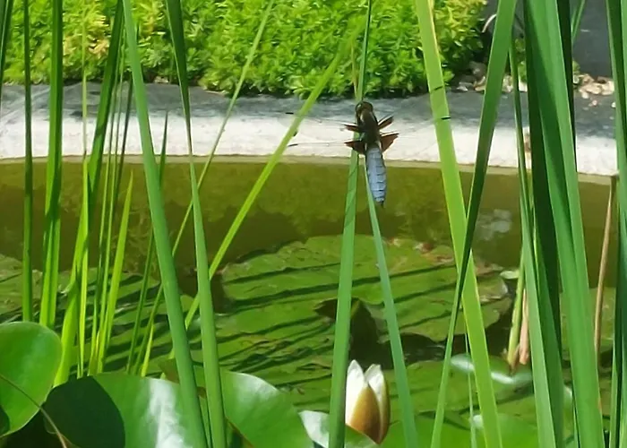 Guest house Lagalerne