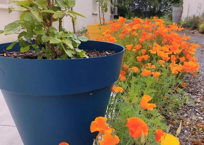 Guest house Lagalerne 3*