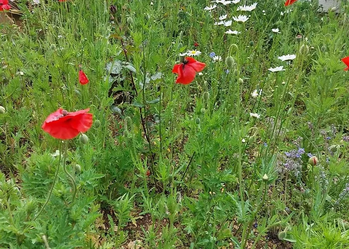 Guest house Lagalerne